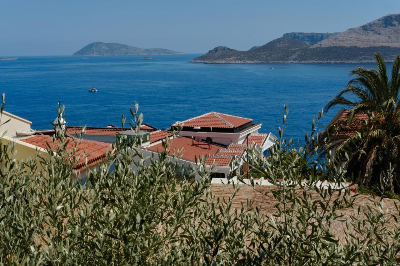 Kaktus Ada Kas Exterior foto